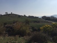 img_0594