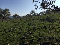 img_0600
