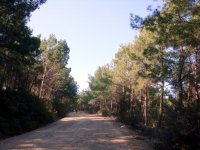 DSC06092