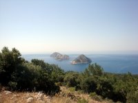 DSC06120