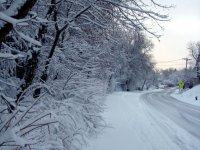 DSC05475