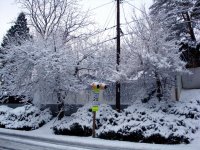 DSC05479