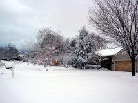 DSC05487