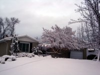DSC05491