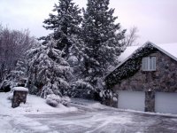 DSC05492