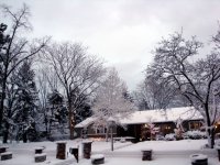 DSC05494