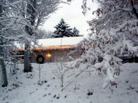 DSC05500