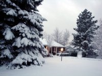 DSC05502