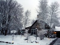 DSC05503