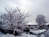 DSC05504