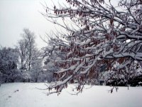 DSC05510