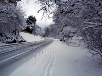 DSC05513