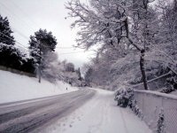 DSC05515