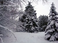 DSC05518