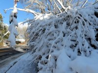 IMG_2521