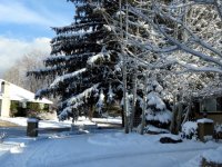 IMG_2538