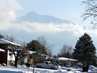 IMG_2544
