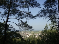 DSC08868