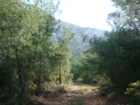 DSC08873