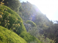 DSC08886