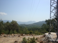 DSC08910