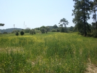 DSC08914