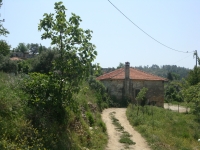 DSC08920