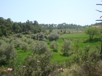 DSC08933
