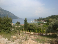 DSC08944