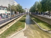 IMG_0070