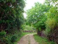 DSC04653
