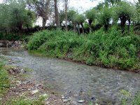 DSC04659