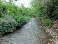 DSC04660