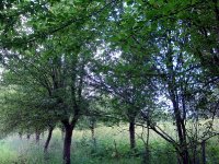 DSC04665