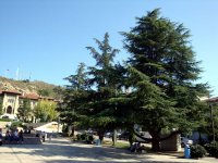DSC03192