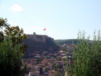 DSC03214