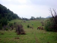 DSC07494
