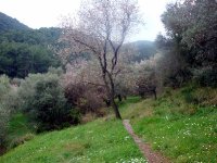 DSC07508