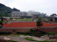 DSC07531
