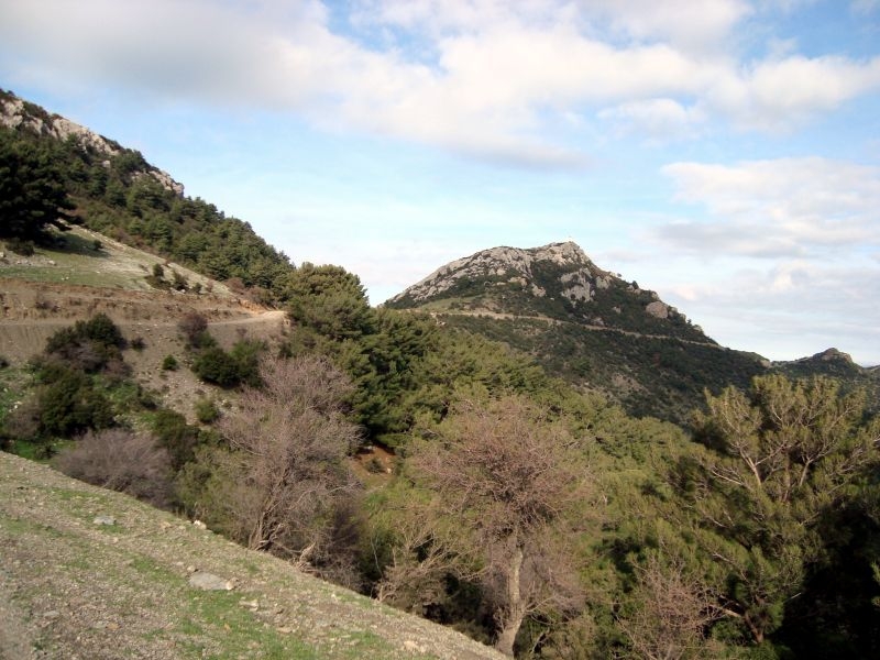 DSC03935