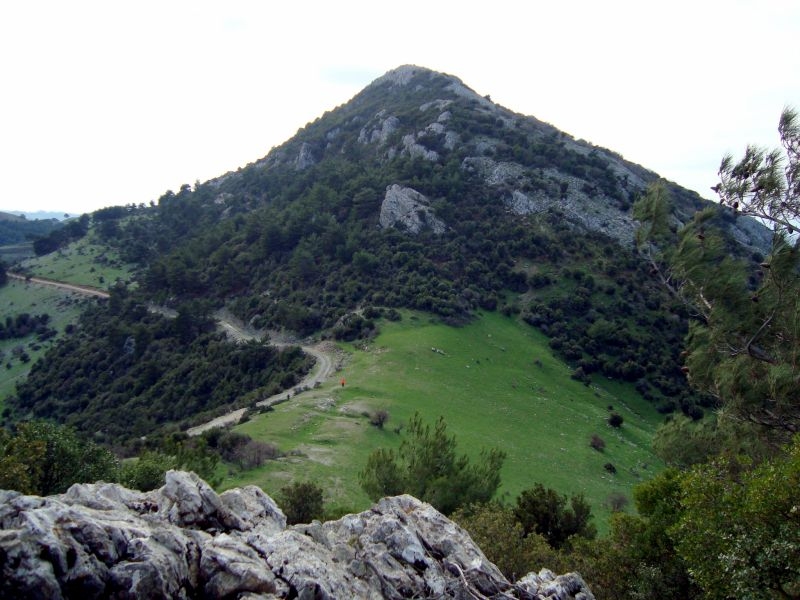 DSC03945