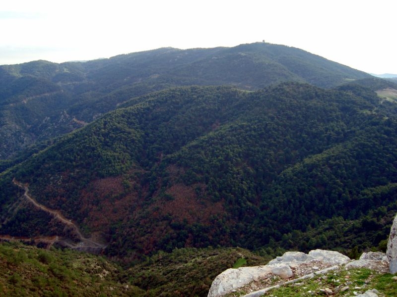 DSC03956