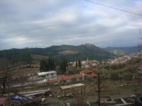 DSC08218