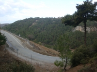 DSC08228