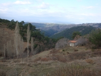 DSC08240