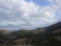 DSC08241