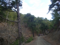 DSC08245