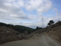 DSC08249