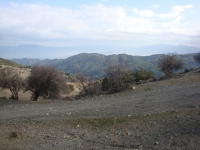 DSC08252