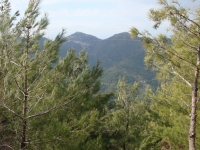 DSC08261